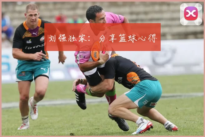 刘强独家：分享篮球心得