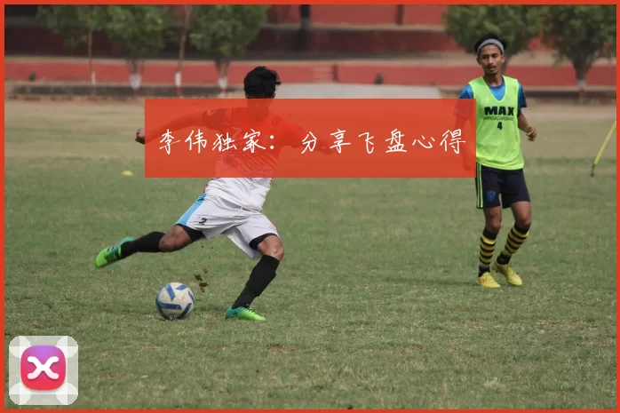 李伟独家：分享飞盘心得